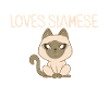Siamese Cat Gifts