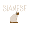 Siamesische Katze Geschenke