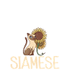 Siamese Cat Gifts