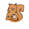Eichhörnchen Baumhörnchen Squirrel