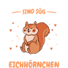 Eichhörnchen Baumhörnchen Squirrel