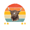 Highland Cow Hochlandkuh
