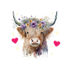 Vache des Highlands Hochlandkuh