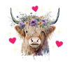 Highland Cow Hochlandkuh