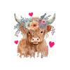 Highland Cow Hochlandkuh