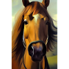 Horse's Head Oil Painting
