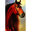 Horse's Head Oil Painting