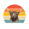 Highland Cow Hochlandkuh
