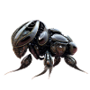 Elephant Beetle Robot