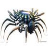 Robot araignée de crabe