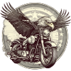 The biker eagle