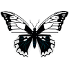 Minimalistic Butterfly