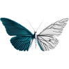 Minimalist Butterfly