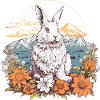 Rabbit Bunny Nature Art