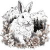 Rabbit Bunny Nature Art