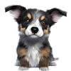 Dog Owner Australian Shepherd Puppy