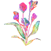 Lösung, Solution
