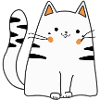 Cute cat