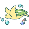 Cute turtle