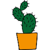 Cactus