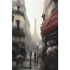 Paris in the rain