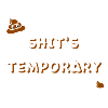 Shit's temporary!