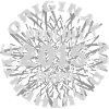 Year 2015