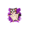 Flying squirrel