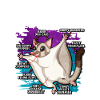 Flying squirrel