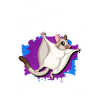 Flying squirrel