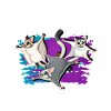 Flying squirrel