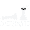 Chess player pieces checkmate