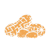 Peanut Allergy Nut Allergy