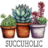 Succuholic - Succulent Cactus Cactus Botany