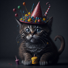 Chat avec chapeau d’anniversaire