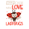 Ladybug Ladybug Entomology Insects