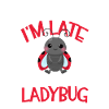 Ladybug Ladybug Entomology Insects
