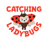 Ladybug Ladybug Entomology Insects