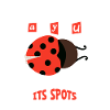 Ladybug Ladybug Entomology Insects
