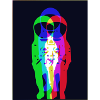 Parallel