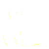 Cat therapy