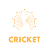 India Sports Cricket Lovers Cricketers