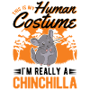 Chinchilla Costume Halloween