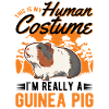 Costume de cochon d’Inde Halloween