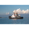 Carla Baruzzi, tugboat, Fusina, Venice