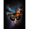 Infinity Butterfly