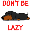 Dachshund - Don't be lazy