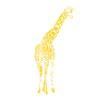 Big Giraffe in Africa Safari