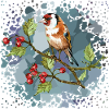 Bunter Vogel