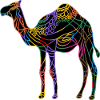 Kamel